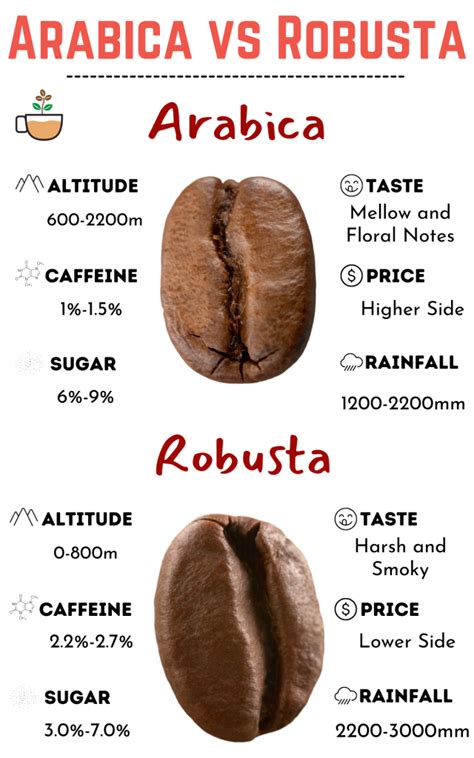 Arabica Vs Robusta: Which One Is Better? - Berry To Brew