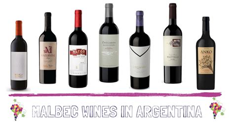 Malbec wines for Malbec Day - South America Wine Guide