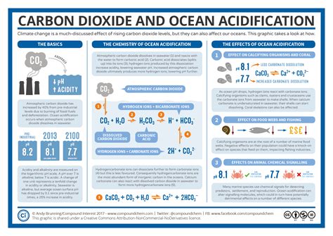 Ocean Acidification: "The Other Carbon Dioxide Problem" | Compound Interest