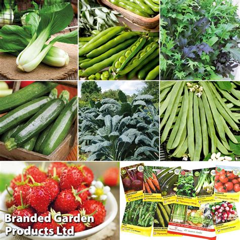 Vegetable Seeds Promo Pack | Thompson & Morgan