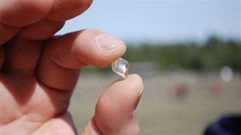 Visitor Finds 2.23-Carat Diamond at Crater of Diamonds State Park ...