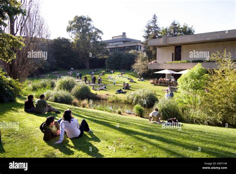 Gardens of the Calouste Gulbenkian Museum for art in Lisbon Portugal Stock Photo - Alamy