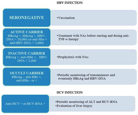 IJMS | Free Full-Text | Harmful Effects and Potential Benefits of Anti-Tumor Necrosis Factor ...