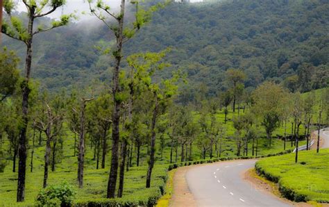 Just Driving – Through beautiful Valparai tea estates ,rich idamalayar ...