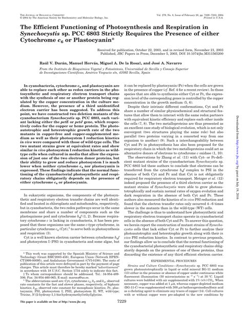 (PDF) The Efficient Functioning of Photosynthesis and Respiration in Synechocystis sp. PCC 6803 ...