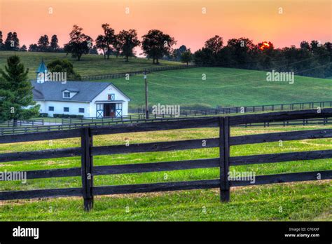 Sunset on a horse farm in Kentucky Stock Photo - Alamy