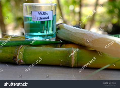 2,442 Sugarcane Ethanol Stock Photos, Images & Photography | Shutterstock