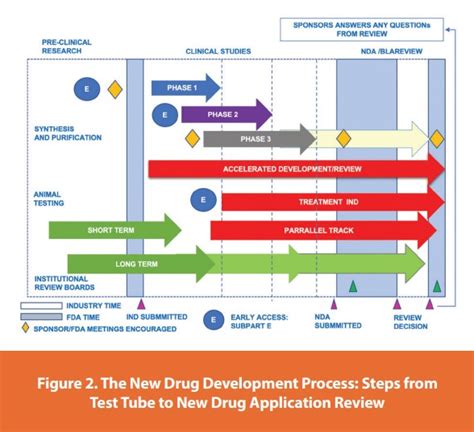 The Lifecycle from Drug Development Through Approval Processes ...