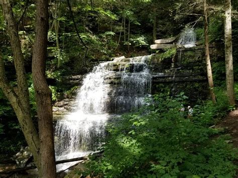 Leonard Harrison State Park (Wellsboro) - 2021 All You Need to Know BEFORE You Go | Tours ...