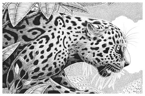 "Jaguar" Original Art - Nicholas Ivins