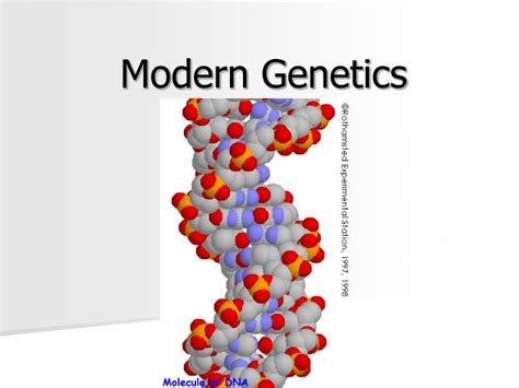 PPT - Modern Genetics PowerPoint Presentation - ID:3965166