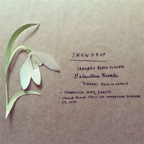 A Snowdrop Poem - Snowdrop Kdrama