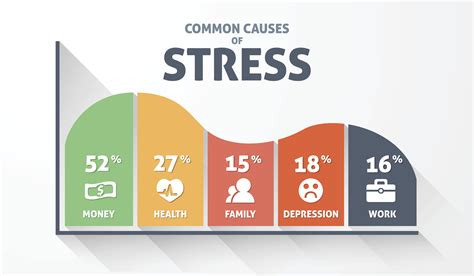 Causes of Stress Infographic