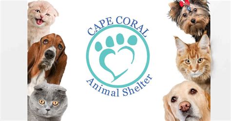 Cape Coral Animal Shelter Corporation - Cape Coral Animal Shelter ...