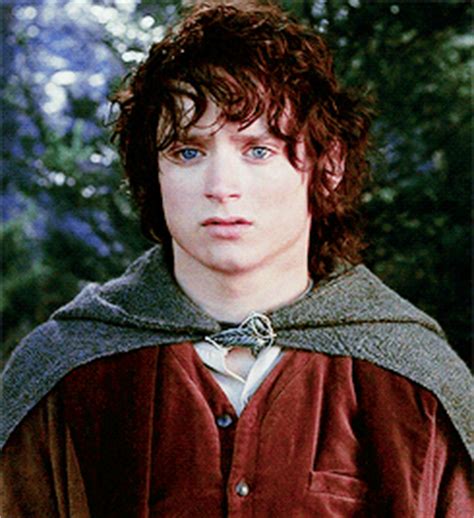 Frodo Baggins - Lord of the Rings Fan Art (36597969) - Fanpop