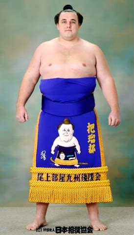 Cool Sumo Kesho-Mawashi Designs! – JapanSauce.Net