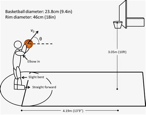 What are the biomechanical principles involved in shooting a basketball free throw?: What are ...