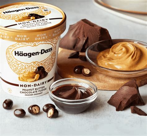 The Best Dairy-Free Ice Cream Brands | Just Vegan Today