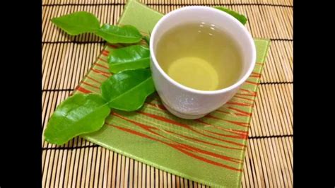 Kaffir Lime Leaves & Lemongrass Tea Recipes. ชามะกรูดตะไคร้ลดความดัน - YouTube