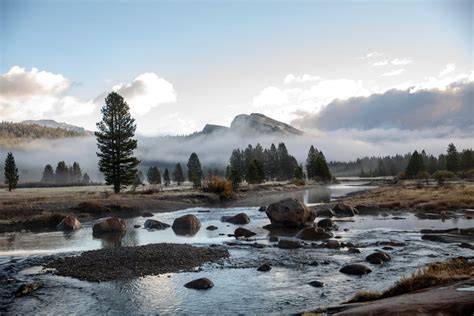 Ultimate Guide: Six-day Yosemite and Sequoia National Park road trip ...