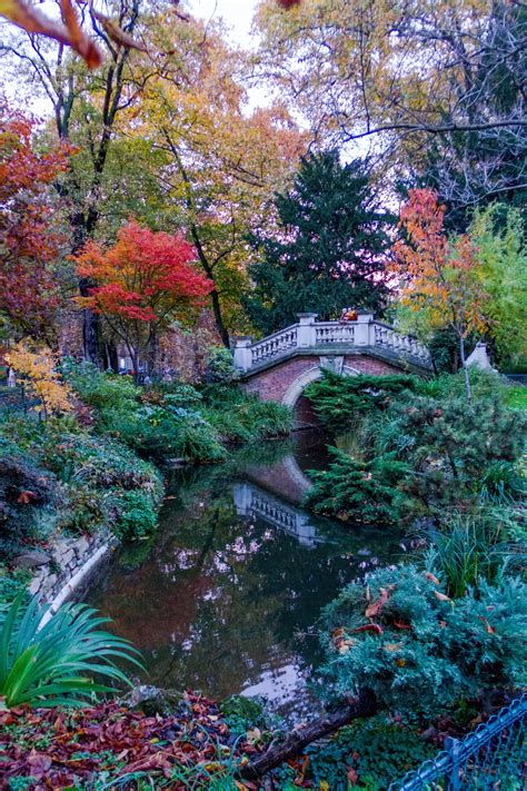 Fall in Paris photograph, fine art Paris photography, travel photo, golden autumn colors by ...