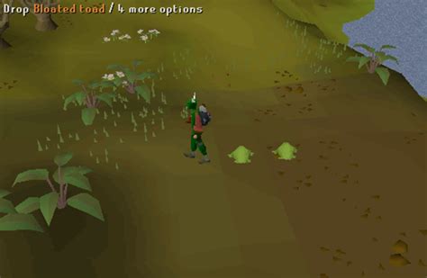 OSRS Big Chimpy Bird Hunting Quest Guide - VirtGold