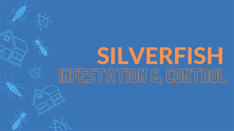 Silverfish Infestation & Control - go2-pros