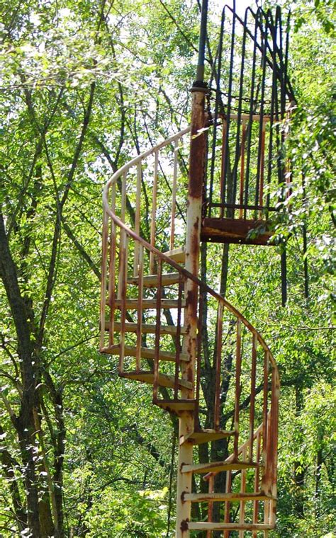 10+ Mysterious Random Staircases in the Woods From Reddit