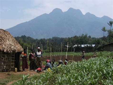 Growing together in Rwanda: The second Twa village