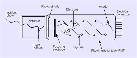 Photomultiplier