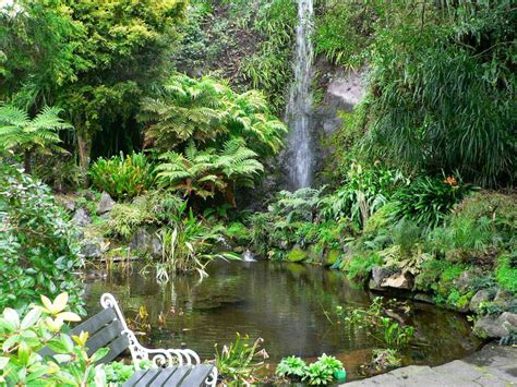 Eden Gardens | West Auckland Tramping Club