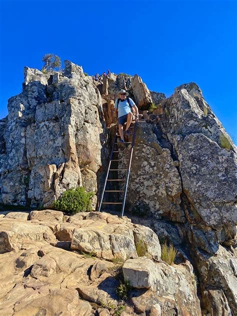 Complete Guide To Lion's Head Hiking Trail For 2022