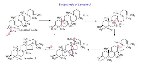 Lipid Biosynthesis - Chemistry LibreTexts