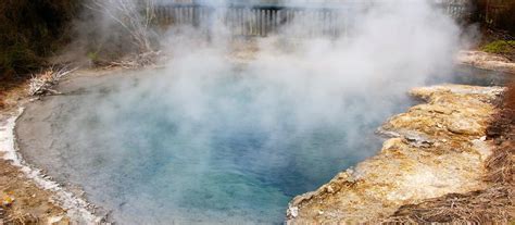 Rotorua Hot Springs And Geothermal Experiences | Rotorua Canopy Tours