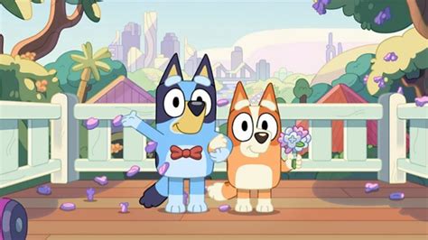 Bluey Season 4 – Is the Show Returning with A New Season? - AMJ