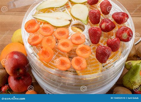 Process of drying fruits stock photo. Image of rack - 154052510