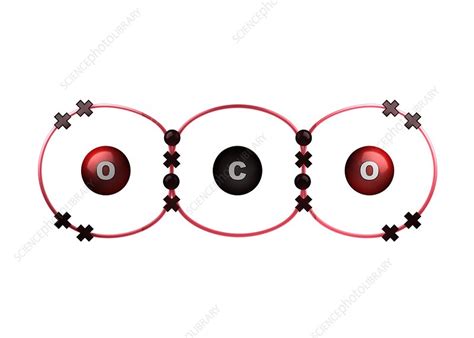 Bond formation in carbon dioxide molecule - Stock Image - C028/6475 - Science Photo Library