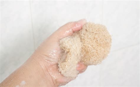 How to Use a Loofah: 9 Steps (with Pictures) - wikiHow