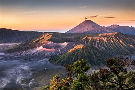 Belantara Hutan Taman Nasional Bromo Tengger Semeru, Jantung Kehidupan Suku Tengger