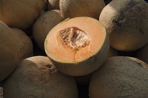 Deadly salmonella outbreak tied to cantaloupe reaches California