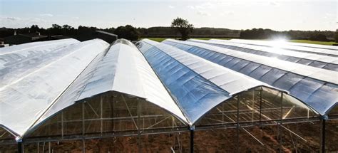 The Importance of Choosing the Right Greenhouse Plastic