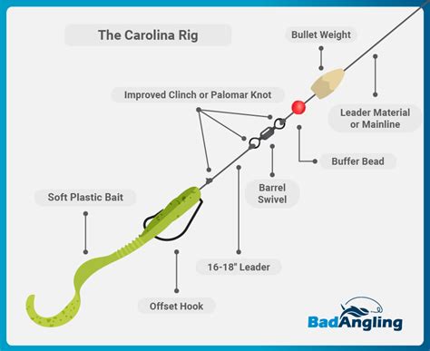 Rig It Right: An Expert Guide to the Best Bass Fishing Rigs