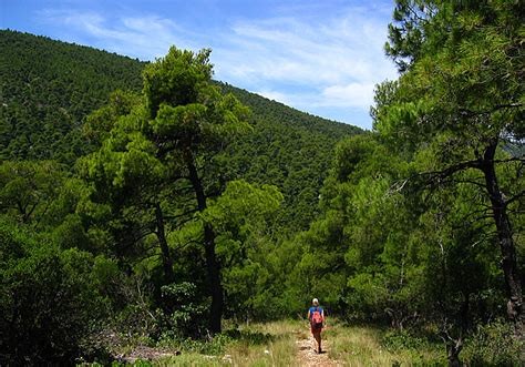 Hike on Skopelos in Greece.