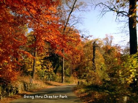 Chester Park, Chester PA | Country roads, Park, Southeast