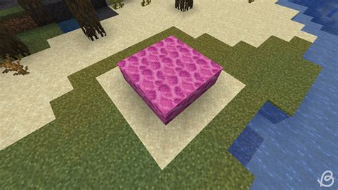 Sea Pickles in Minecraft: How to Get and Use Them | Beebom