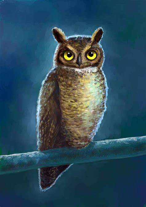 Night Owl Art Print | Owl art print, Owl art, Owl