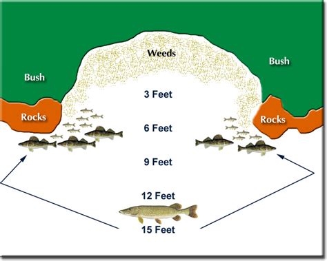 Northern Pike Fishing Tips