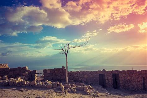 Premium Photo | Sunrise over masada fortress. israel