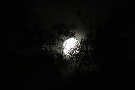 Moon n the dark sky stock photo. Image of full, moon - 166863896