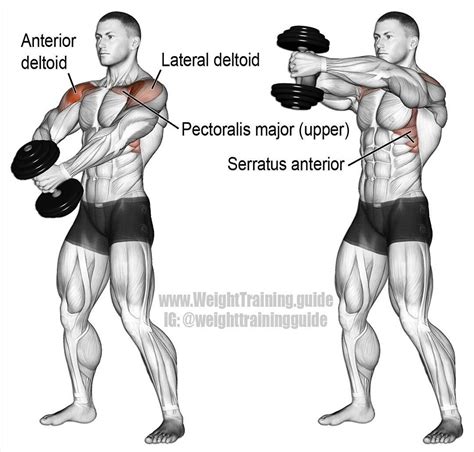 Single dumbbell front hammer raise. An auxiliary exercise that targets ...